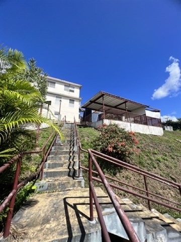 Photo 2-6-23, 1 45 46 PM Medium.jpeg