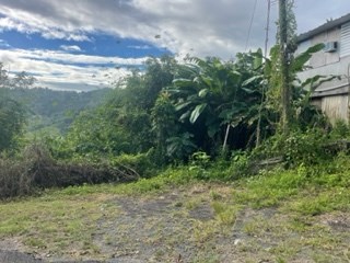 IMG_2283.jpeg