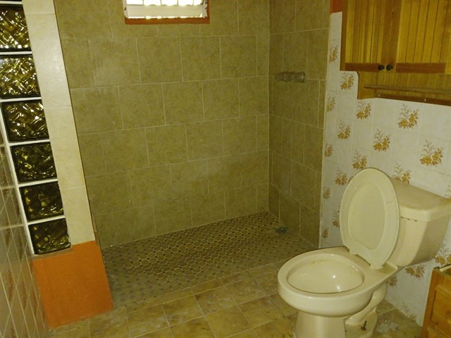 20230425_114105.jpg