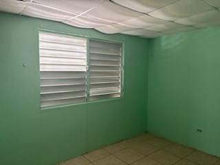 IMG_0411.jpeg